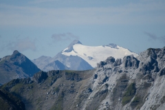 DSC5462