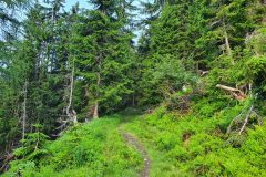 20210703_074324-scaled