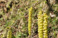 20210509_093740-scaled