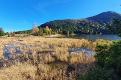 20211028_135800-scaled