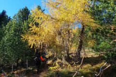 20211028_140723-scaled