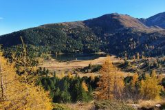 20211028_141657-scaled