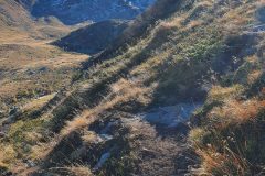 20211028_143252-scaled