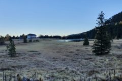 20211028_165435-scaled