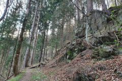 20210416_085922-scaled