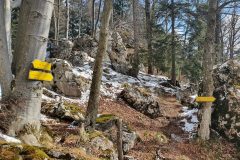20210416_104300-scaled