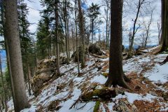 20210416_113738-scaled