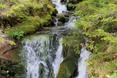 20211009_115651-scaled