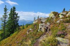 20210814_095947-scaled