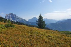 20210814_104037-scaled