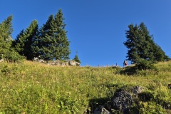 20260815_075549