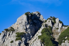 DSC1438