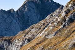DSC1483