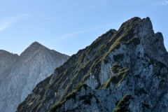 DSC1509