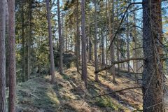 20210228_134312-scaled