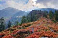 20210911_091350-scaled