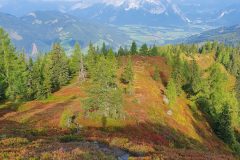 20210911_091809-scaled
