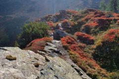 20210911_092758-scaled