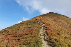 20210911_095528-scaled