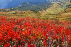 20210911_110904-scaled