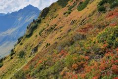 20210911_111047-scaled