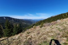 20210508_091517-scaled