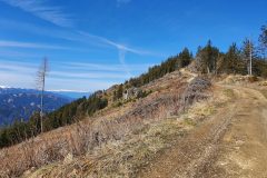 20210508_094916-scaled