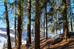 20210213_103148-scaled