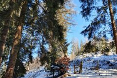20210213_110543-scaled