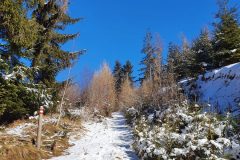20210213_110849-scaled