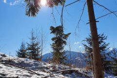 20210213_111932-scaled