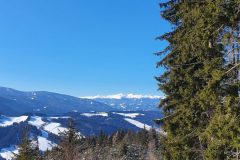 20210213_112254-scaled