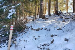 20210213_121016-scaled