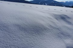 20210213_124928-scaled