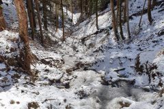 20210213_135349-scaled