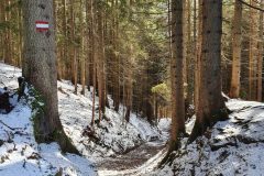 20210213_141052-scaled