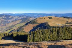 20211120_123732-scaled