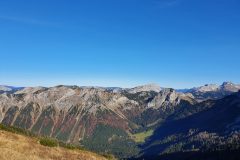 20201107_101557-scaled
