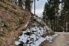 20210321_093341-scaled