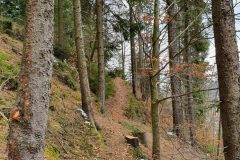 20210321_093435-scaled