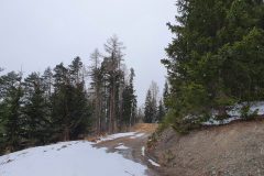 20210321_101019-scaled