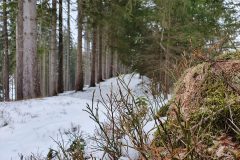 20210321_101435-scaled