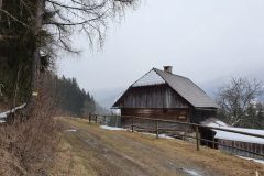 20210321_101955-scaled