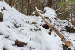 20210321_103852-scaled