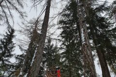 20210321_104228-scaled