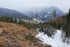 20210321_113524-scaled