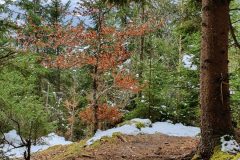 20210321_115526-scaled