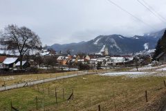20210321_121155-scaled