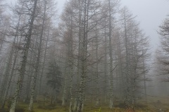 20241020_081139