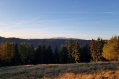 20191023_075241-scaled